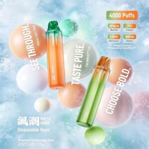 ZGAR飒潮Pulse 4000口一次性雾化棒，CeraMesh 0.8Ω陶瓷网芯，预装7ml烟油，500mAh可充电电池，数字电量显示屏，透明可视油仓